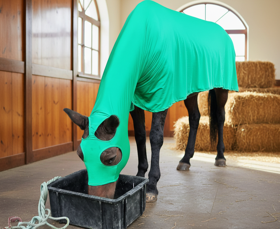 Lycra full body suit handmade by Horsin' About