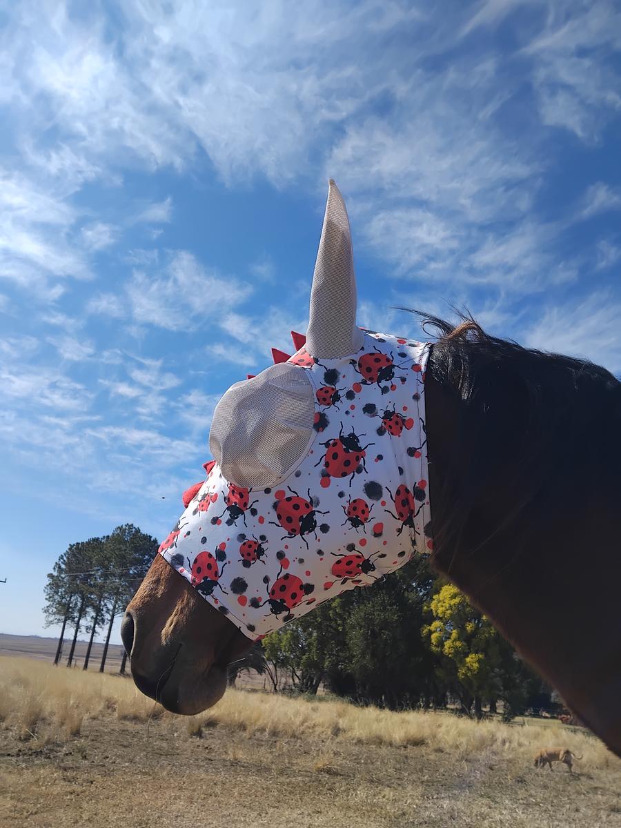 Standard flymask with nose piece handmade by Horsin' About